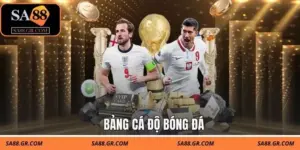 Bảng Cá Độ Bóng Đá: Đọc Tỷ Lệ Kèo Chuẩn Như Một Dân Chuyên