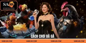 Cách Chơi Đá Gà Chuẩn Cao Thủ - Áp Dụng Thực Tế Dễ Dàng
