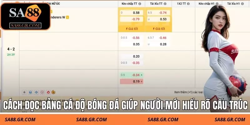 Cách đọc bảng cá độ bóng đá giúp người mới hiểu rõ cấu trúc kèo