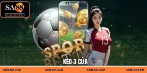 Kèo 3 Cửa Là Gì? Cách Đọc Tỷ Lệ Chuẩn Cho Người Mới Bắt Đầu