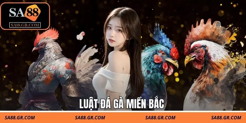 Luật Đá Gà Miền Bắc Chuẩn SA88 - Nắm Rõ Để Cược Hiệu Quả