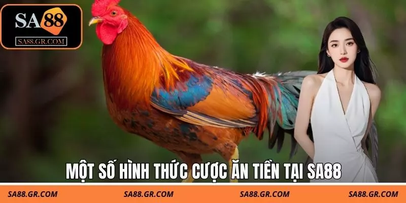Một số hình thức cược ăn tiền tại SA88 Một số hình thức cược ăn tiền tại SA88