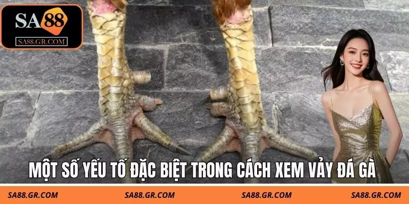 Một số yếu tố đặc biệt trong cách xem vảy đá gà