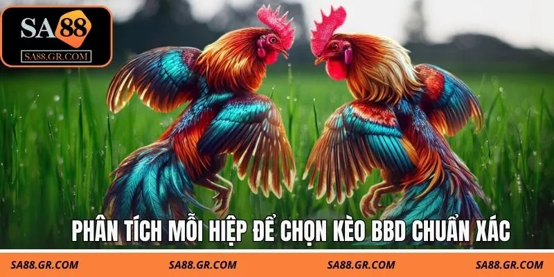 Phân tích mỗi hiệp để chọn kèo BBD chuẩn xác