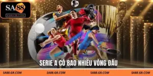 Serie A Có Bao Nhiêu Vòng Đấu Trong Mỗi Mùa Giải Bóng Đá Ý?