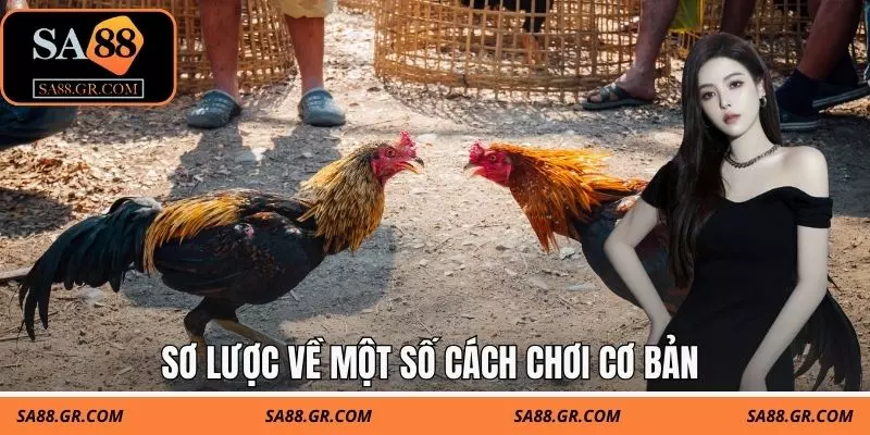Sơ lược về một số cách chơi cơ bản