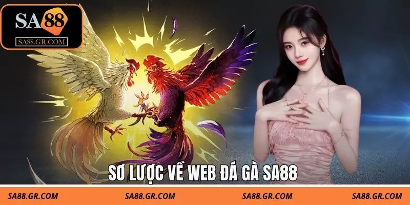 Sơ lược về web đá gà SA88