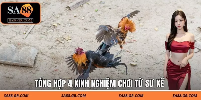 Tổng hợp 4 kinh nghiệm chơi từ sư kê