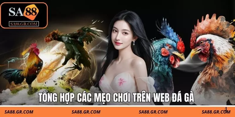 Tổng hợp các mẹo chơi trên Web đá gà