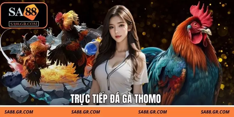 Trực Tiếp Đá Gà Thomo Sa88 - Trải Nghiệm Giải Trí Mỗi Ngày